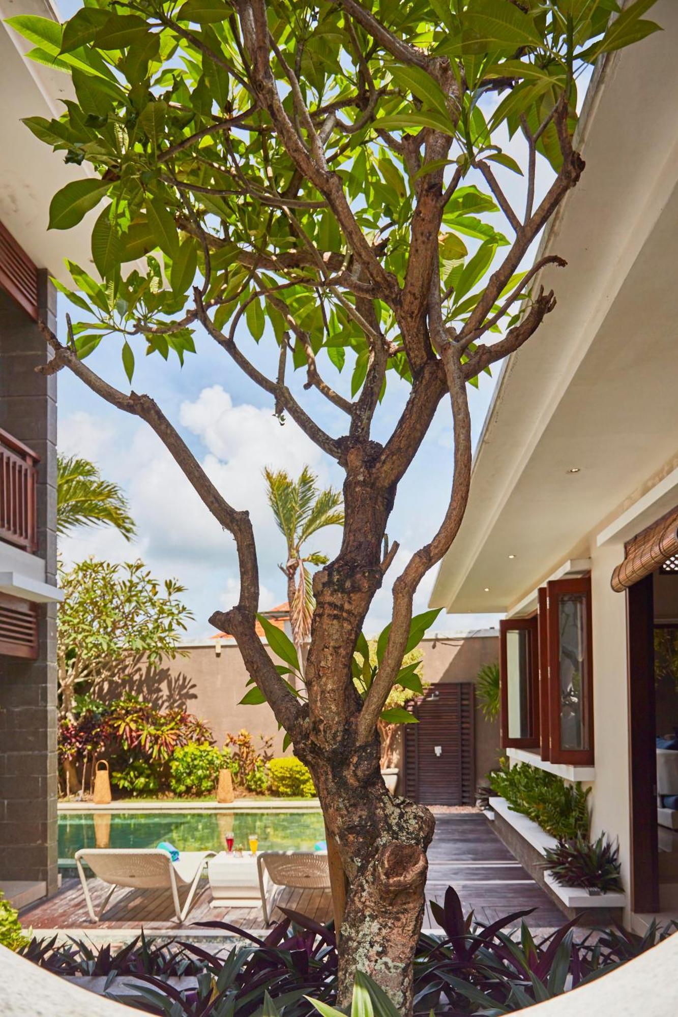 Dreamscape Bali Villas Canggu Εξωτερικό φωτογραφία